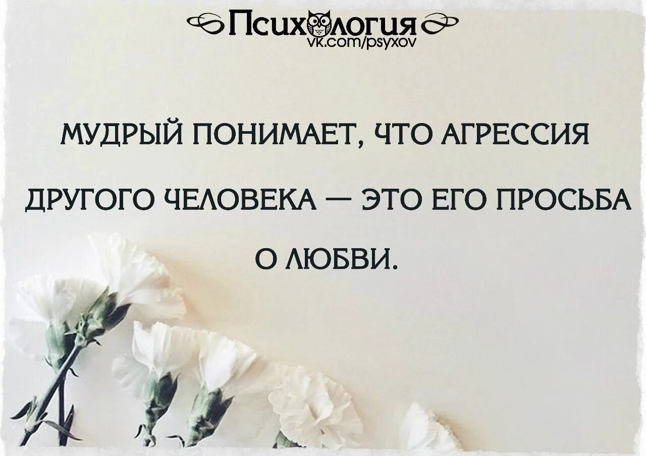 Цитаты про понимание. Высказывания о понимании. Афоризмы про понимание. Цитаты о понимании других людей. Мысли о любимом человеке