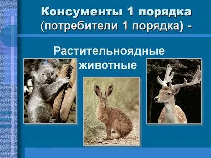 Потребители порядка