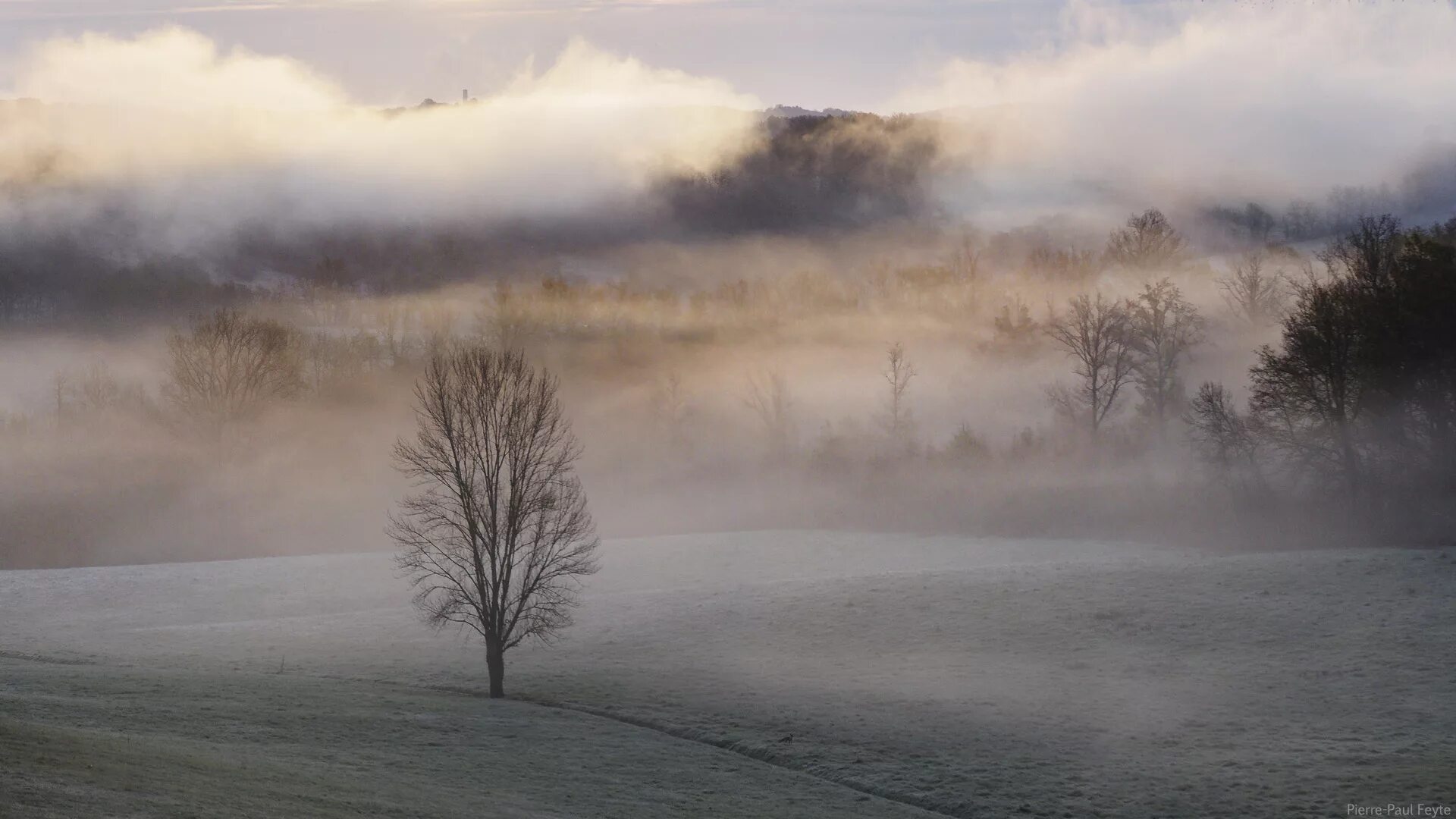 Winter brume. Winter brume. Горы коричневые в тумане. Туман зимой. Зимний лес вид сверху.