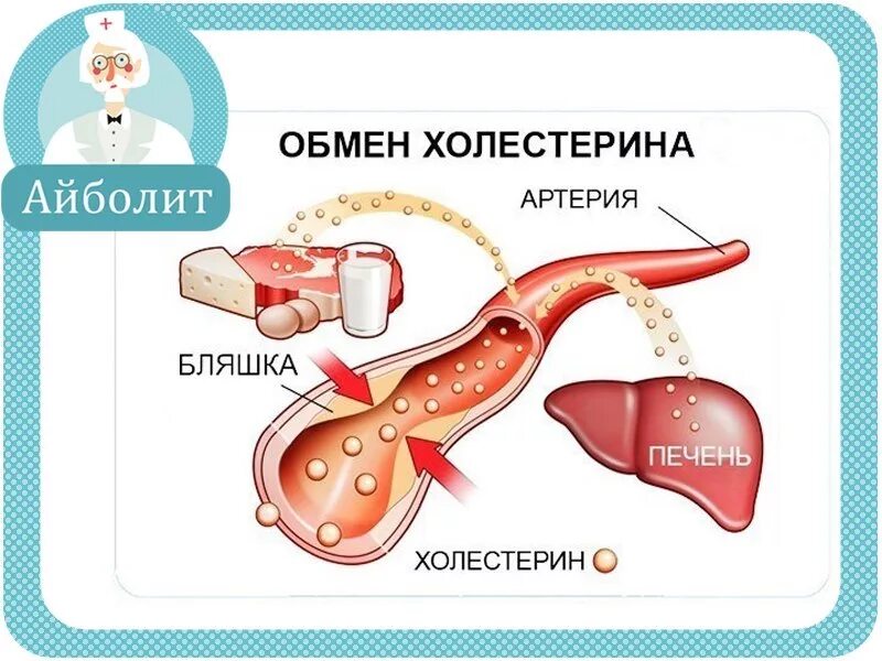 Можно ли печень при холестерине. Холестерин. Холестерин в печени. Печеночный холестерин. Печень вырабатывает холестерин.