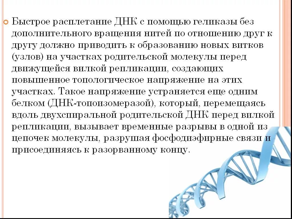 Расплетание цепей днк. ДНК расшифровка. Расшифровка структуры ДНК. ДНК как расшифровывается аббревиатура. Как расшифровка ДНК.