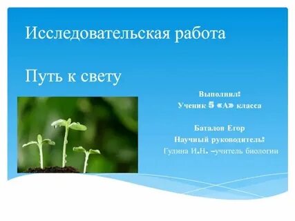 Исследовательский проект по биологии 5 класс