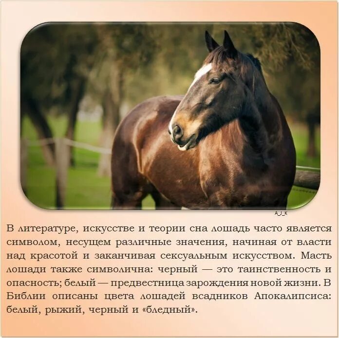 Записать лошадку