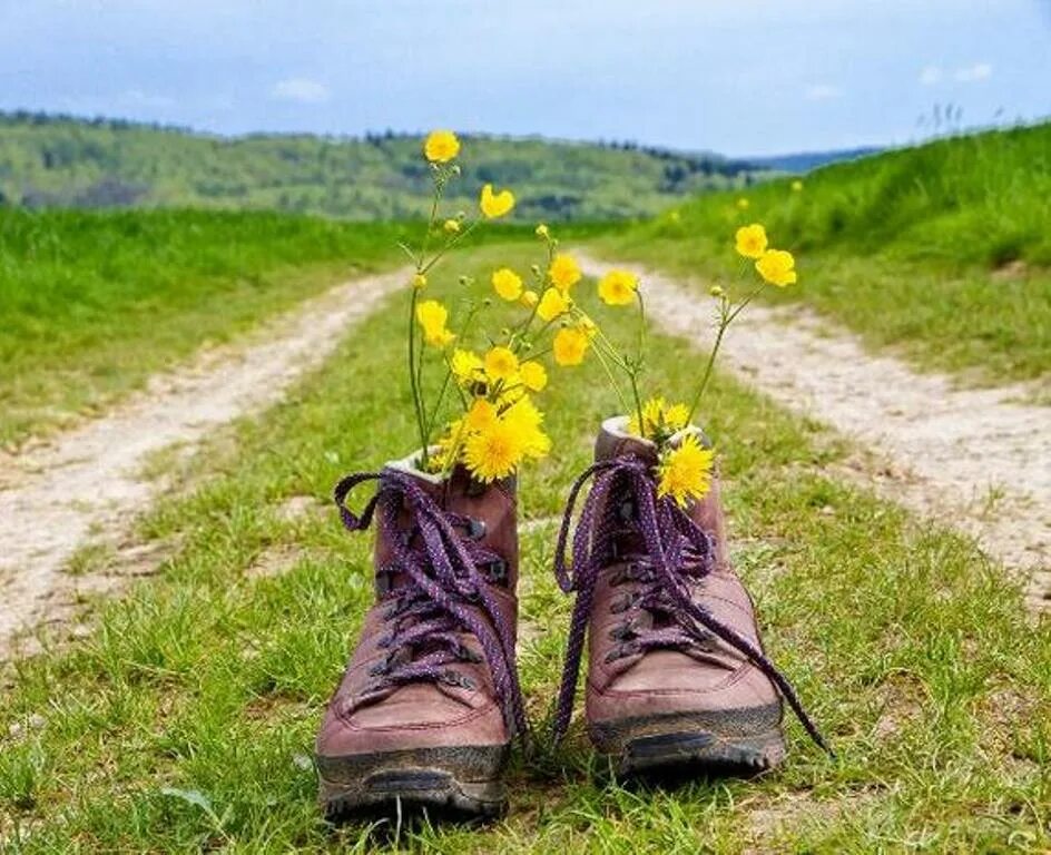 Куда иду я туда где светит. Цветы в ботинках. Весеннее путешествие. Радость жизни природа. Обувь на природе.