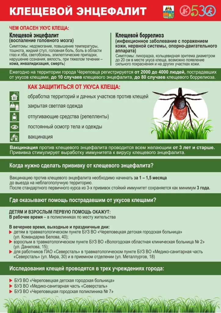 Укус клеща анализы. Укус энцефалит клещевой энцефалит. Профилактика клещевого энцефалита памятка вакцинация. Прививка от клещевого энцефалита памятка. Памятка по вакцинации клещевого энцефалита.
