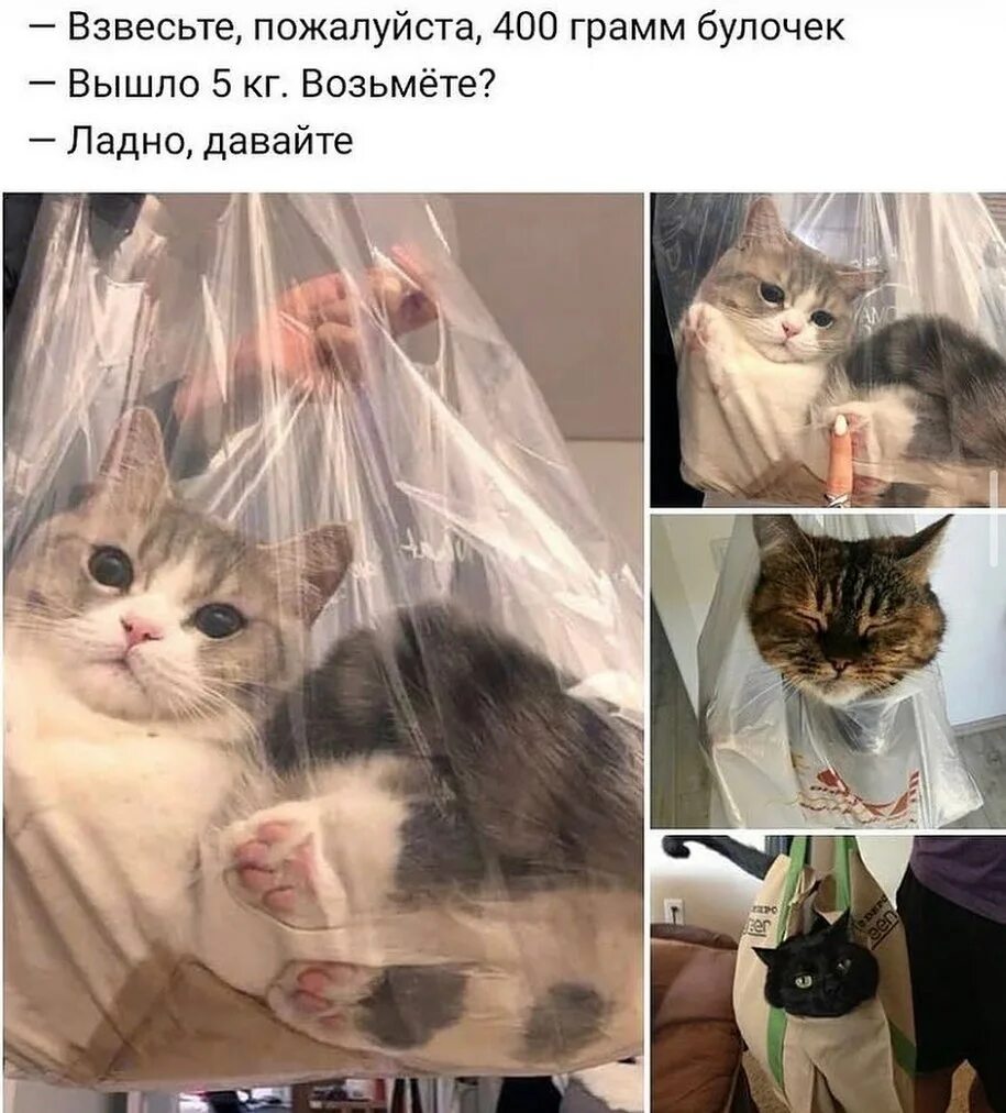 Ладно получай