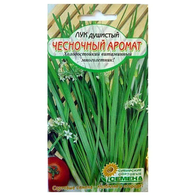 Лук с запахом чеснока. Лук душистый чесночный аромат семена Алтая. Джусай семена. Лук душистый китайский чеснок семена Гавриш. Лук душистый китайский чеснок Гавриш.