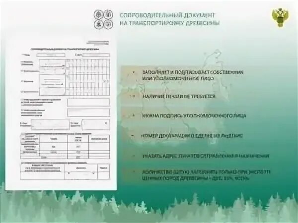 Сопроводительный на транспортировку древесины