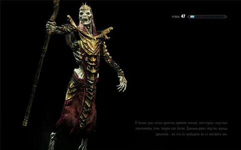 Skyrim загрузочные экраны