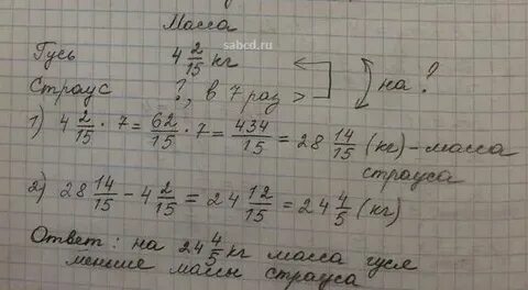 Масса гуся 4
