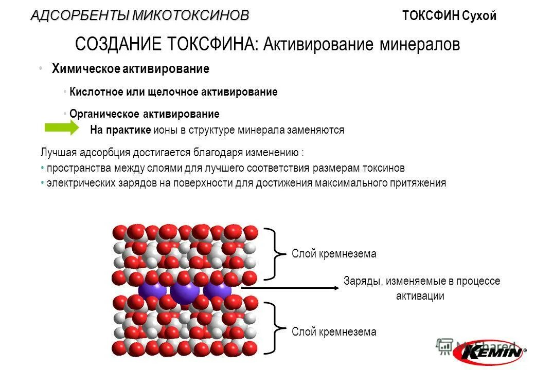 Микотоксины классификация. Механизм действия адсорбентов. Адсорбенты препараты фармакология. Микотоксины виды. Адсорбента 3