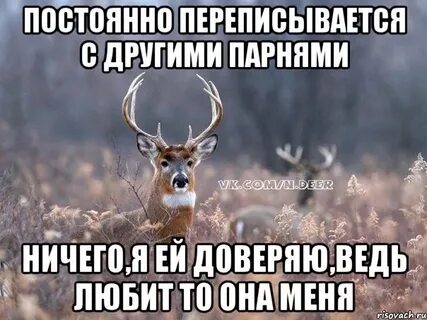 Велась переписка
