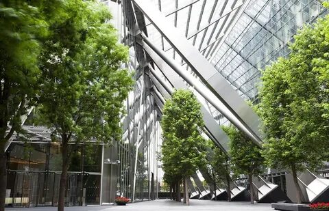 Rich environment