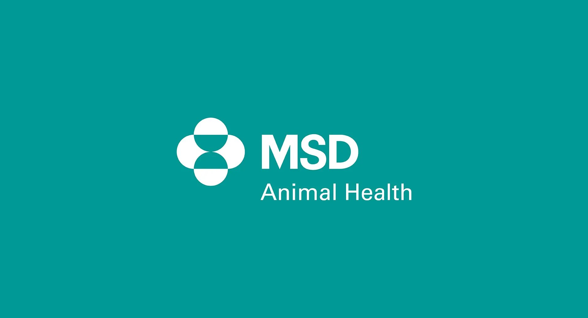 Msd справочник. MSD логотип. MSD фармкомпания. MSD animal Health. Интервет мсд.