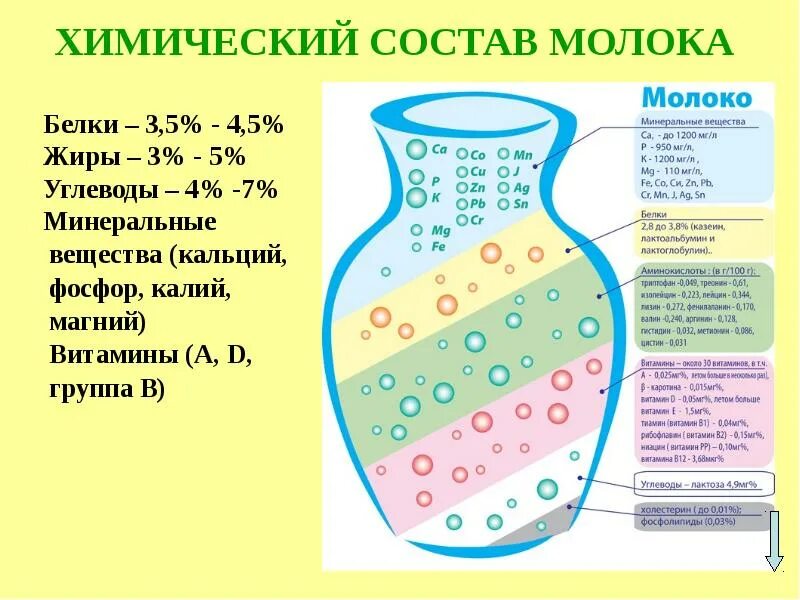 Характеристика молочного
