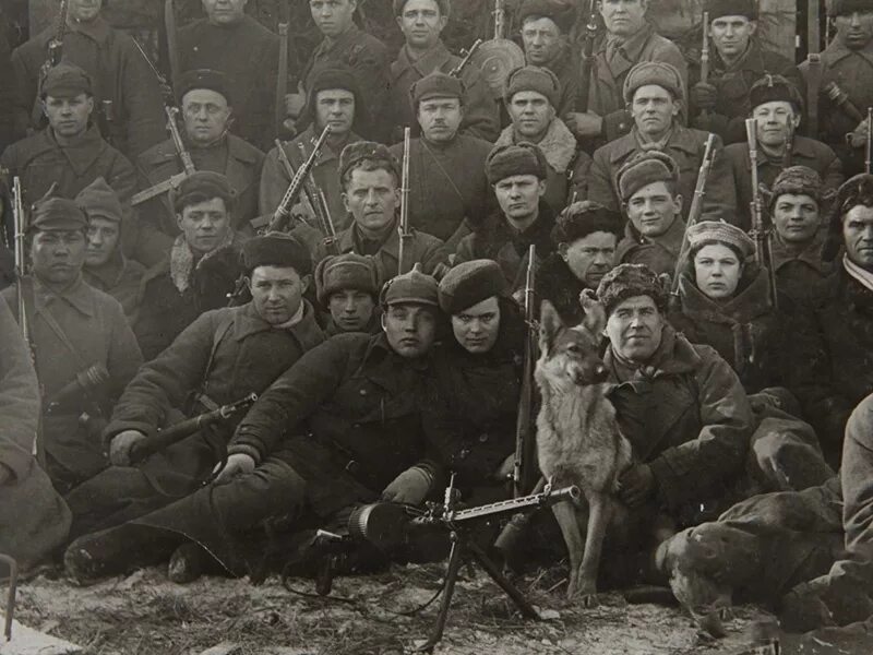 Гофицкий Партизанский отряд. Партизанский отряд батя. Бойцы Гофицкого партизанского отряда. Партизанский отряд Германа.