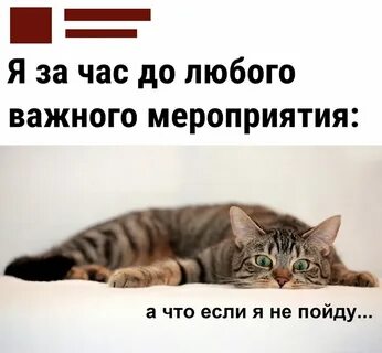 Важные для любого