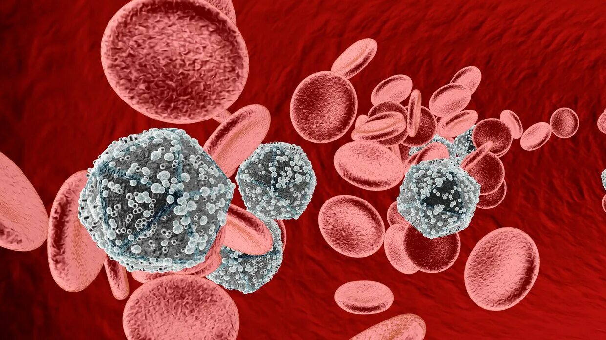 ВИЧ В крови под микроскопом.