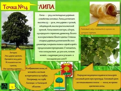 Экологическая тропа весной