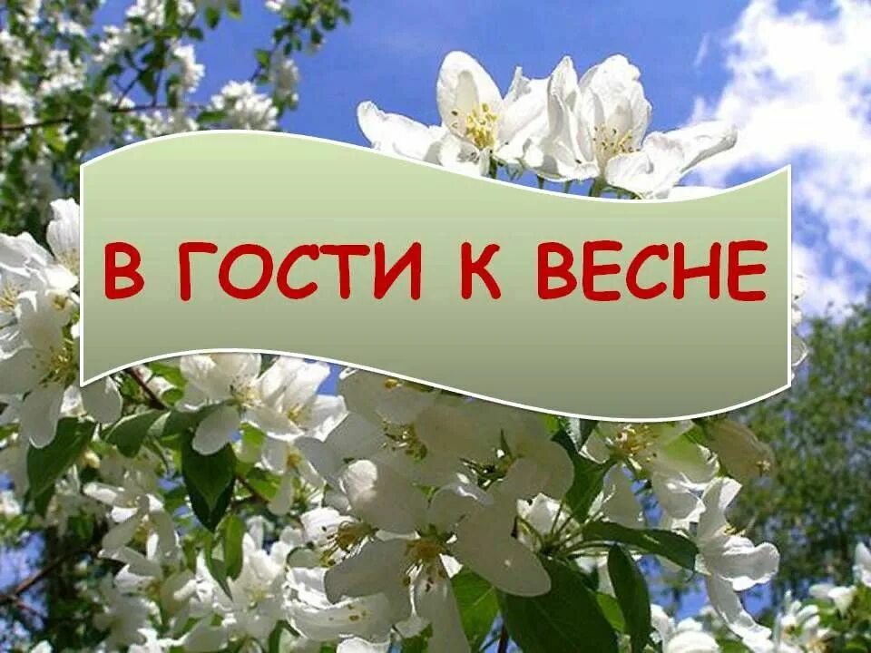 Планы на весну картинки. В гости к весне экскурсия. В гости к весне окружающий. В гости к весне 2 класс.