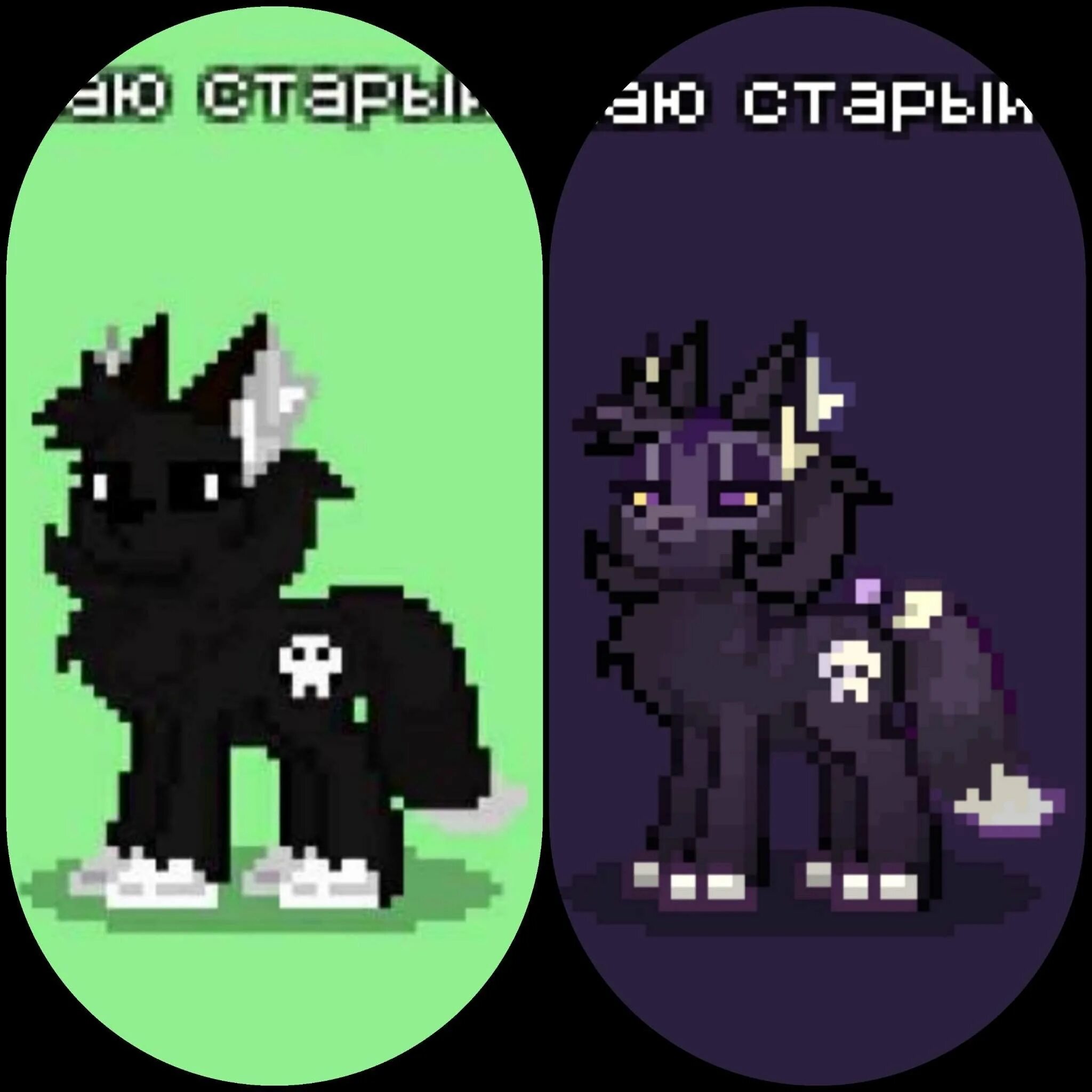 Скины пт. Пони таун скины. скин кота в пони таун. кот в пони тауне.
