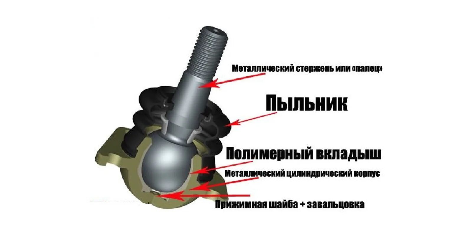 Сколько лет шаровой. Устройство шаровой опоры Рено Логан в разрезе. Шаровая опора на рав 4 схема. Шаровая опора ВАЗ В разрезе. Шаровая опора Рено Логан схема.