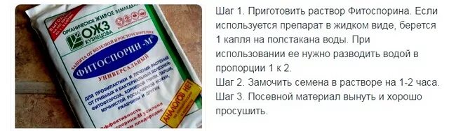 Сколько времени держать семена в перекиси водорода. Обработка семян фитоспорином перед посевом. Фитоспорин раствор. Фитоспорин марганцовка. Раствор фитоспорина для томатов.