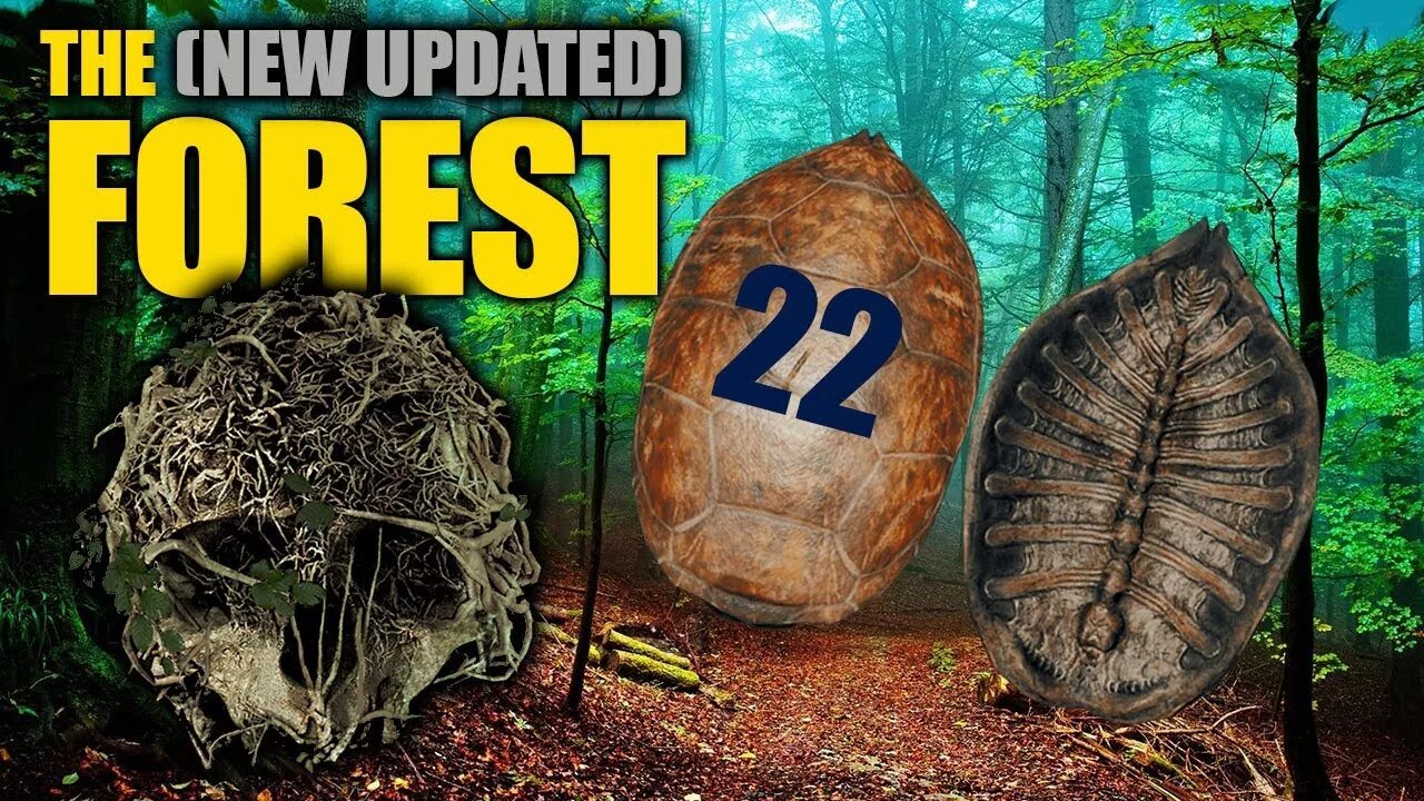 Где найти черепаху в the forest. The форест черепаха. the forest черепаха. где найти черепах в the forest. где в игре форест найти черепаху.