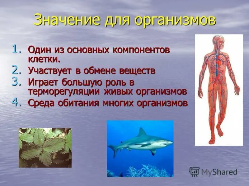 трение в жизни растений и животных. организм как среда жизни описание. организменная (паразиты и симбионты). организменная среда обитания характеристика среды. среда обитания образуемая самими живыми организмами.