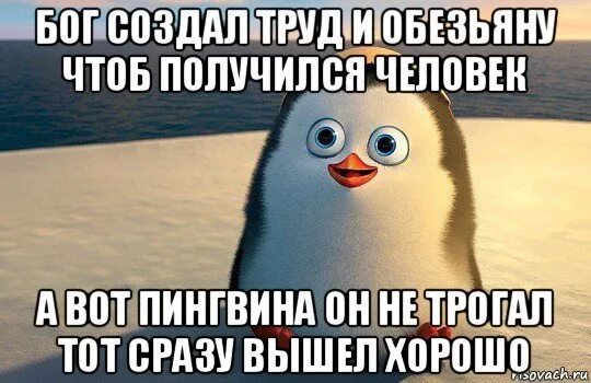 Мемы с пингвинами. Пингвин Мем. Шутки про пингвинов. С днем рождения Пингвин. Неплохо вышло