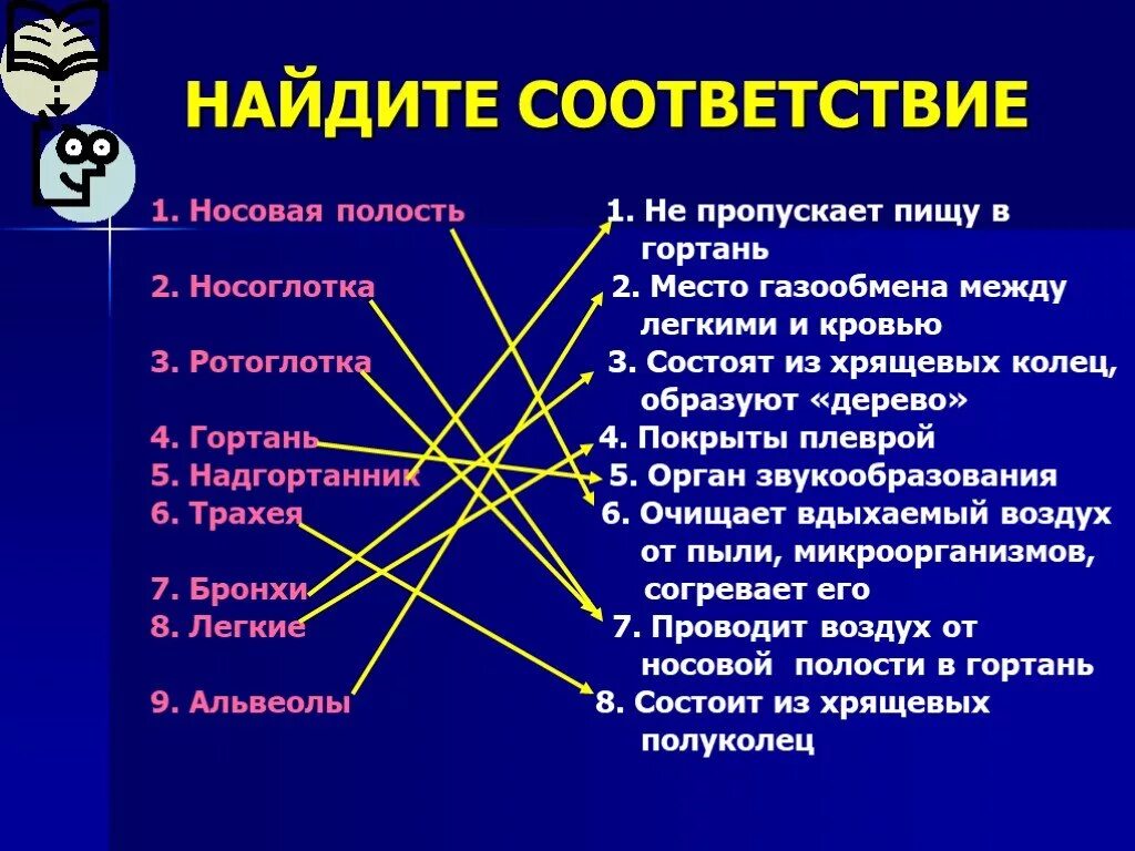 Не пропускает пищу в гортань ответ. Не пропускает пищу в гортань. найдите соответствие не пропускает пищу в гортань. какой орган не пропускает пищу в гортань. очищает вдыхаемый воздух от пыли и микробов согревает.