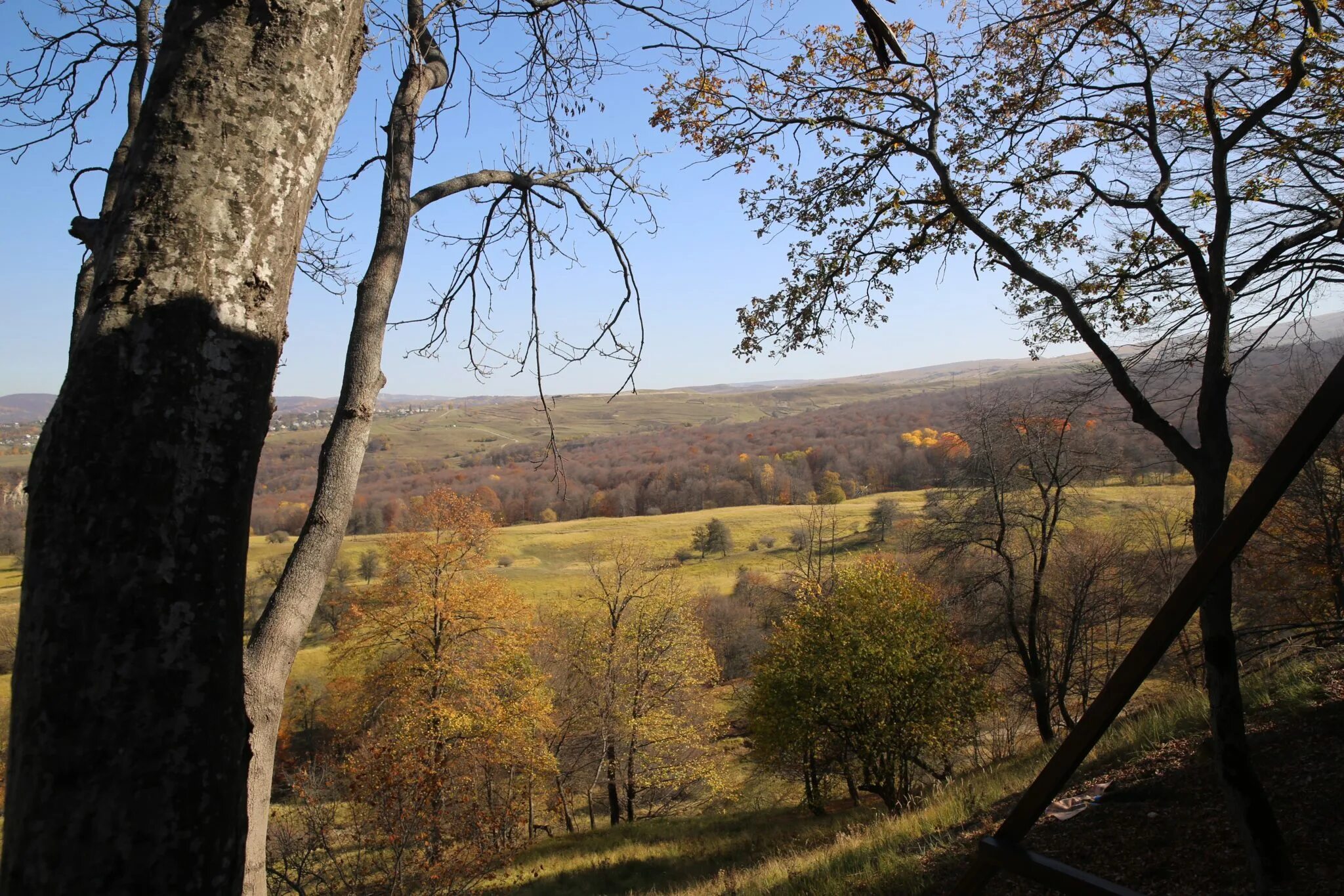 хутор дубовой ростовская. хутор дубовой ростовская область белокалитвинский район. беспутская поляна заказник. дубовый ставропольский край. дубрава нижегородская область.