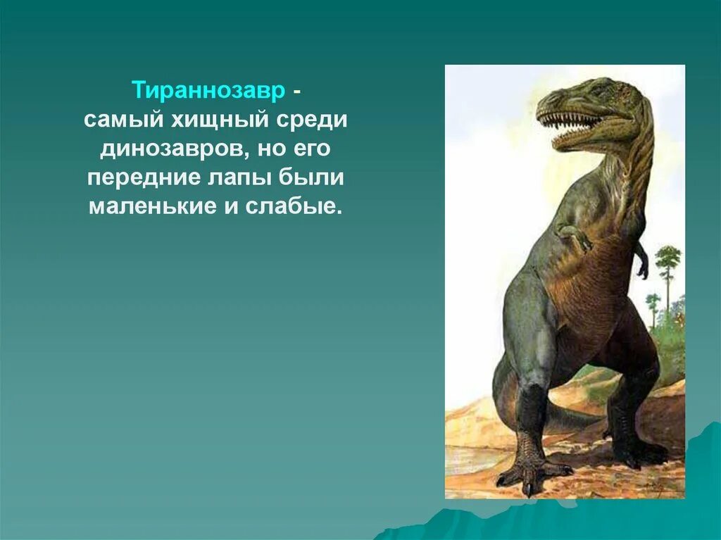 Сообщение о динозаврах 1. Тираннозавр рекс информация для детей. Информация о Тираннозавре. Тираннозавр описание. Проект про тироназавра.