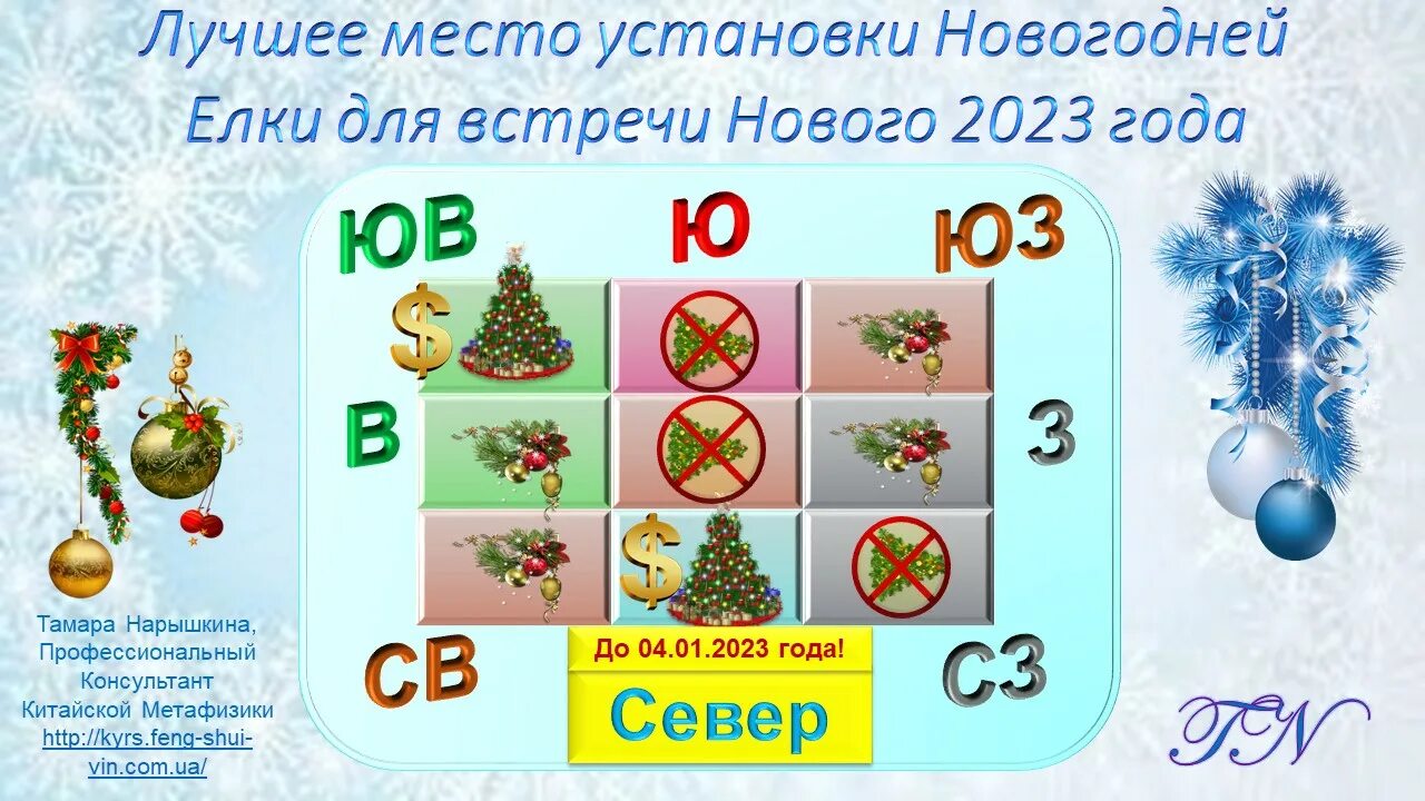 Как выбрать елку. Когда нужно поставить елку. Когда ставить елку. Какого числа лучше поставить елку. Живая или искусственная елка.