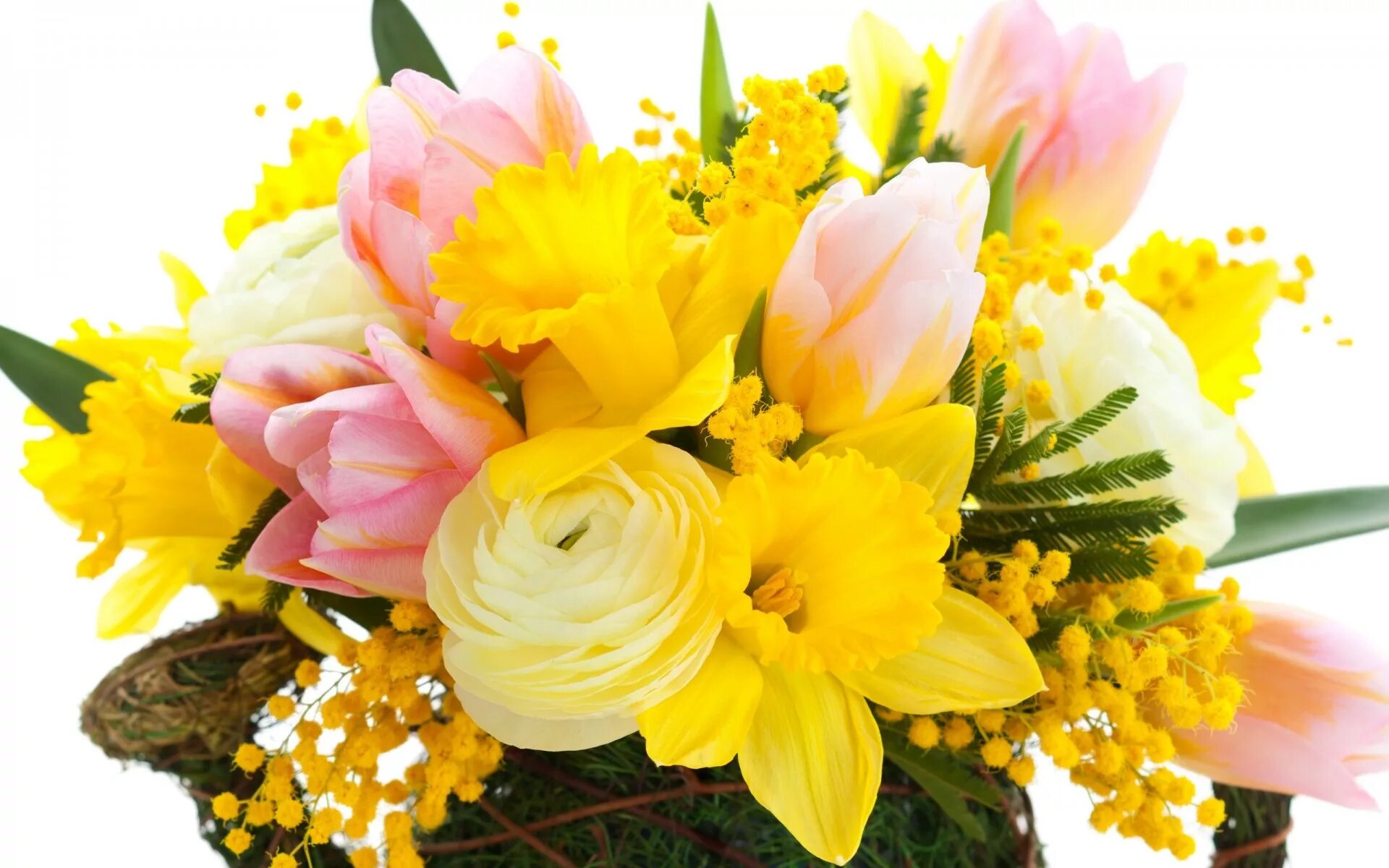 Цветы весенние картинки с днем рождения. Тюльпаны нарциссы и мимозы. Букет тюльпаны Мимоза нарциссы. Цветы нарциссы тюльпаны Мимоз.