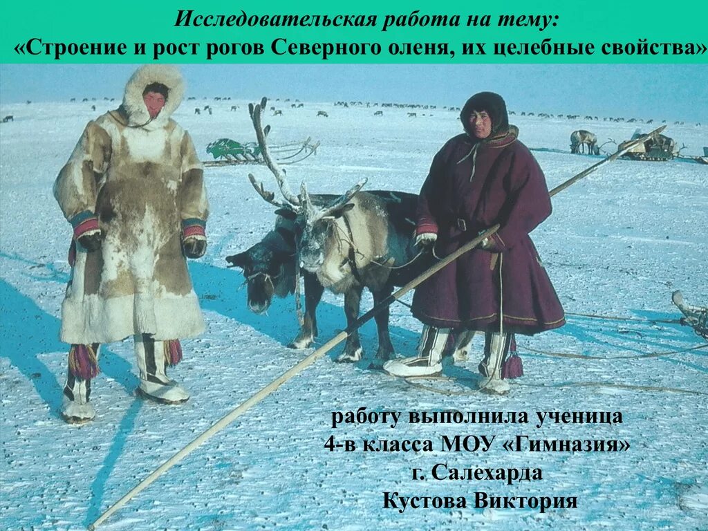 Основные занятия якутов. Якуты эвенки. Народы Северной Америки Эскимосы. Ненцы чукчи эвенки якуты. Якуты, чукчи, Ханты, ненцы.