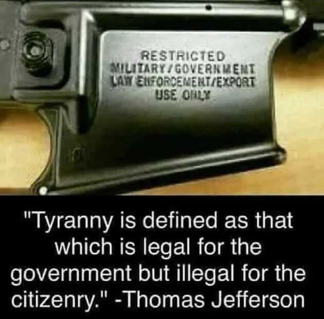 We can use that only in. For law enforcement/military use. use of military. fast 1 government use производитель российский. use only перевод.