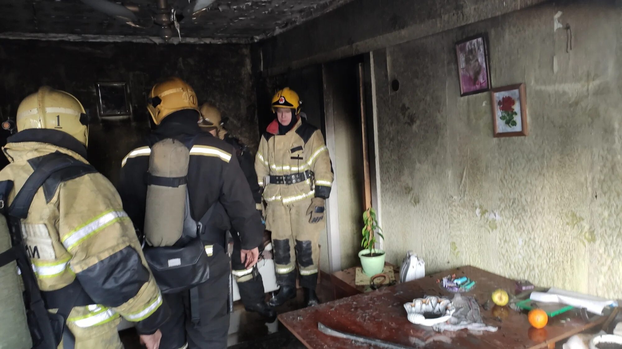 Пожарная 28. Пожар в Сузуне. Пожар в Северске. Пожар Поварово 27 декабря 2021. 28 декабря 20