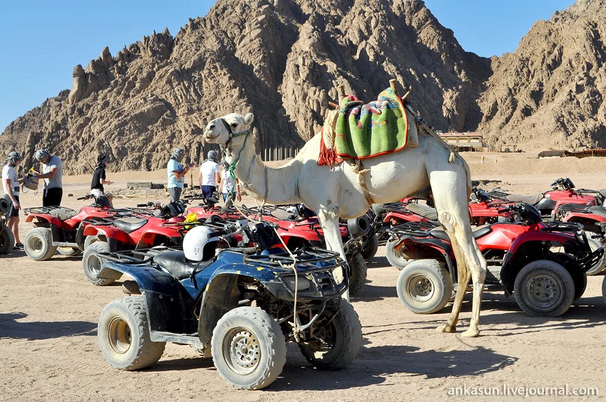 Эль сафари. Пустыня руб-эль-хали. Эль сафари. Jeep wrangler пляж. Эль сафари.