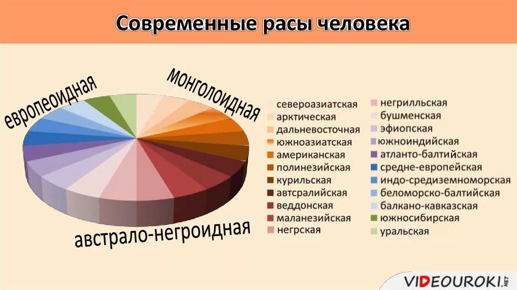 Сколько человеческих рас. Современные расы человека. Расы людей численность. Процентное соотношение рас в мире. Человеческие расы в процентах.