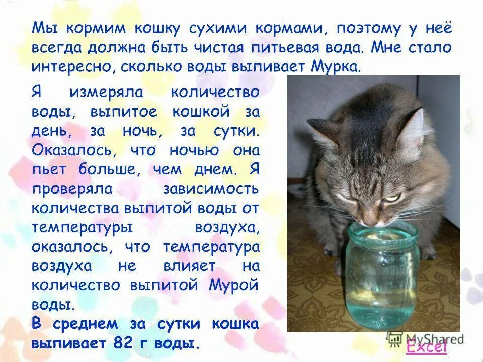 Кошка отказалась пить. Кот пьет много воды. Котенок пьет много воды. Кошки пьющие воду. Кошка пьет много воды причины.