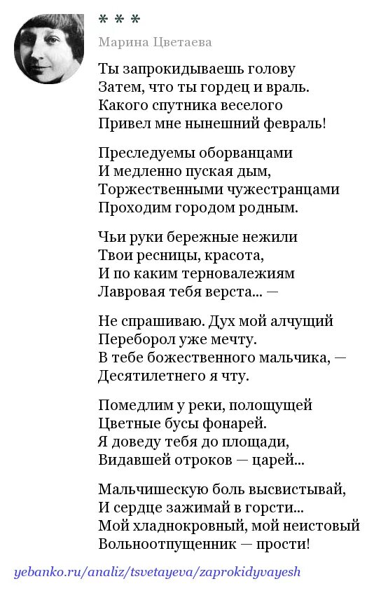 Цветаев анализ стиха кратко. Цветаева молодость стихотворение. : Стихотворение “молодость цвеаеква.