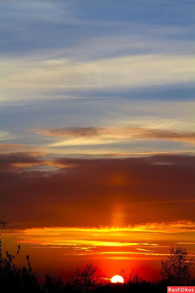 а закаты алые автор. стихи про багряный закат. волшебники двора закаты алые текст. волшебники двора закаты алые. песни а закаты алые.