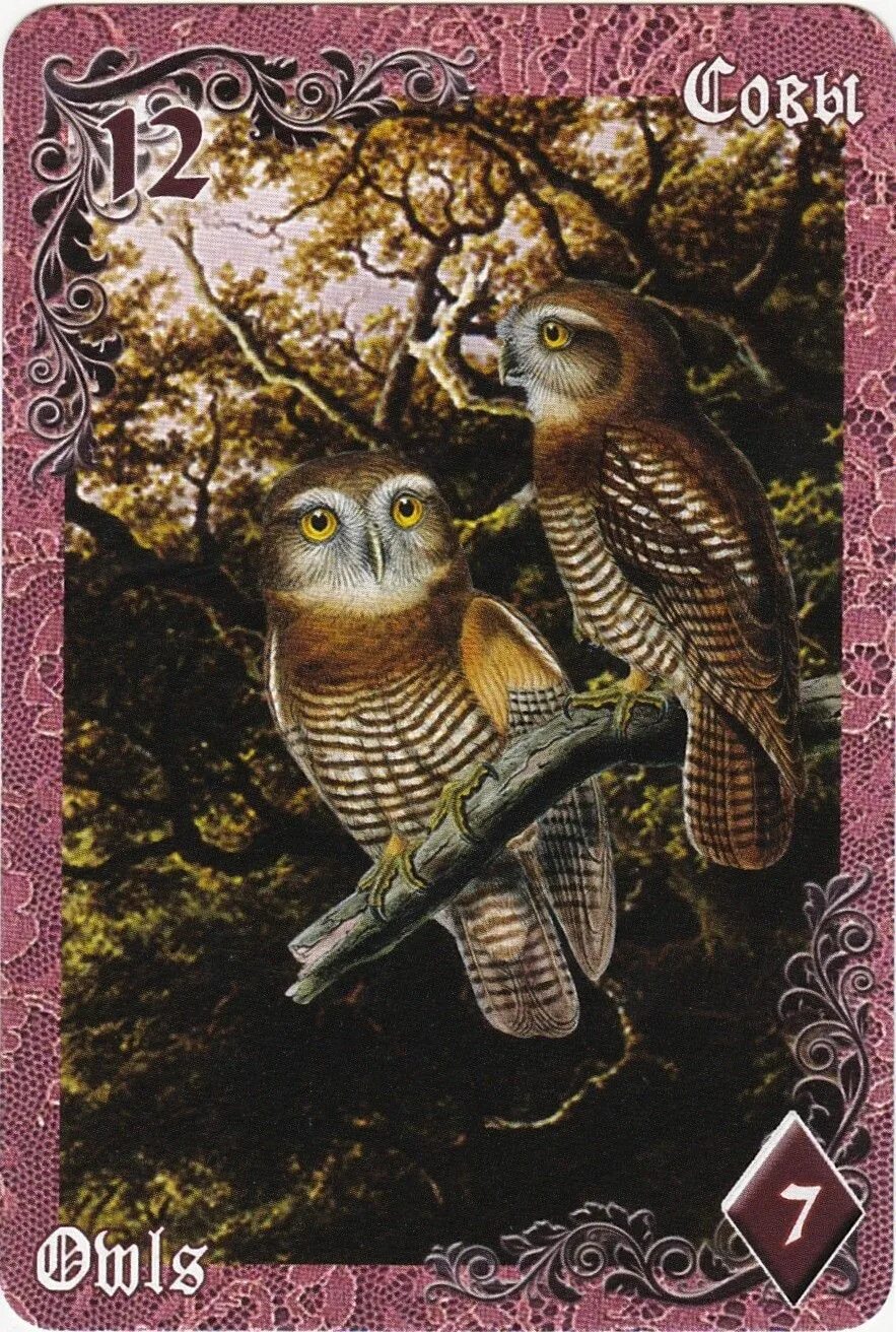 Оракул ленорман "золотая сова". Колода ленорман золотая сова. Оракул совы. Ленорман золотая сова. Оракул совы.