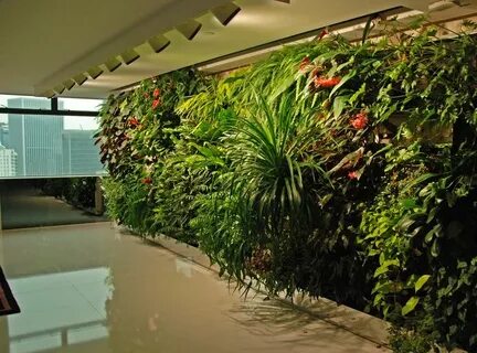 Plant hotel