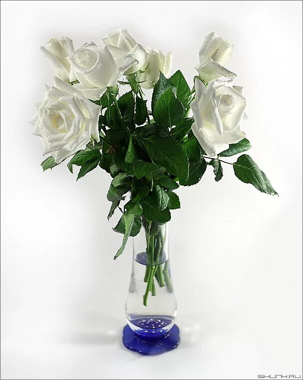 Белые розы в вазе. Розы в вазе. Белые розы в хрустальной вазе. Три розы в вазе