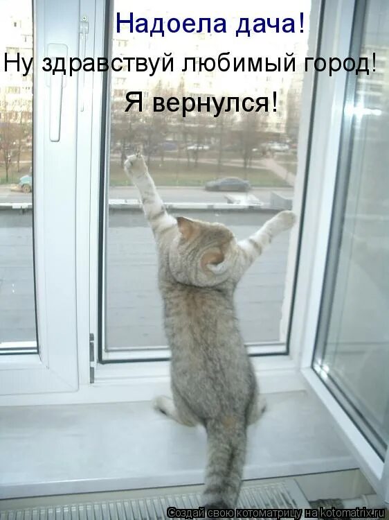 Первый день после отпуска прикольные. Здравствуй школа надпись на прозрачном фоне. Грабли картинки смешные. Смешные высказывания про скуку. Первый день на работе после декрета.