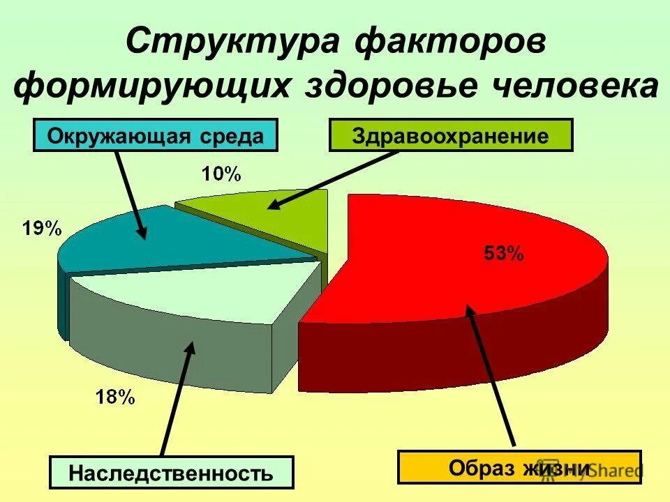 Факторы формирующие здоровье человека. Факторы формирования здоровья человека. Факторы формирующие здоровье населения. Факторы разрушения здоровья. Факторы здоровья обж 8 класс