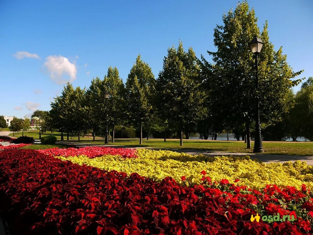 Парк Царицыно цветники. Царицыно лето. Парк Царицыно в Москве клумбы. Царицыно парк растения.
