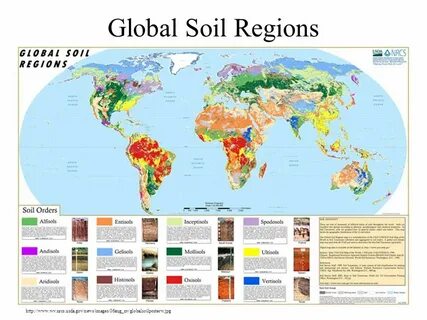 Global regions
